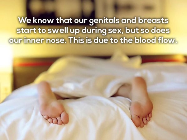Fun fact about how the inside of your nose swells during intercourse.