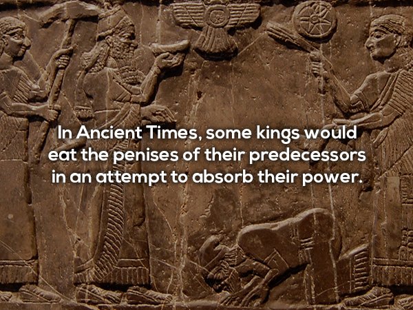 Fun fact about how in ancient times, kings would eat the penis of their predecessors in order to absorb their power.