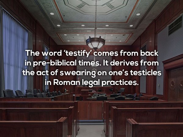 Fun fact about how the word 'testify' come from before biblical times when people would swear on one's testicle in Roman legal practices.