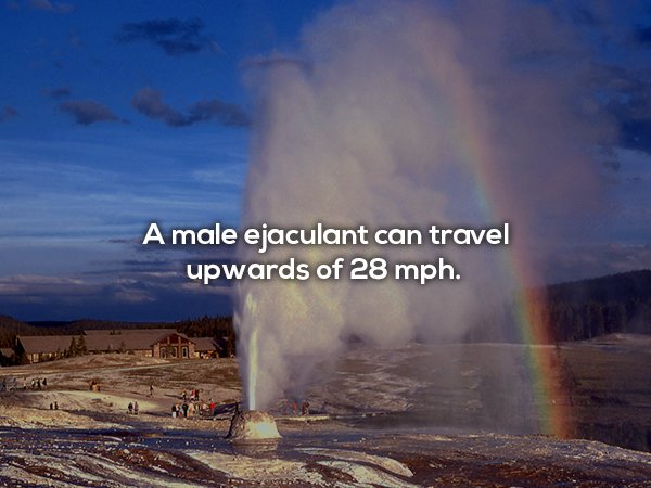 Picture of a geyser creating an artificial rainbow with fun fact about how male ejaculation cant travel upwards of 28 MPH