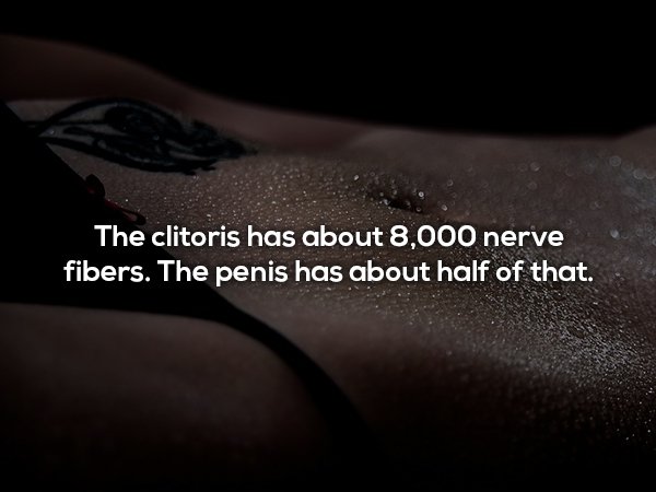 Fun fact about how the clitoris has 8,000 nerve fibers but penis has only half that.
