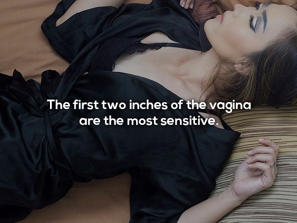 Fun fact about how the first two inches of a vagina are the most sensitive