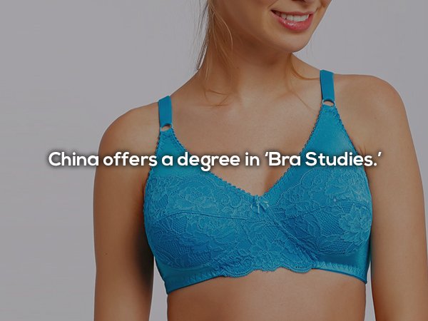 Fun fact about how China offers a degree in Bra Studies