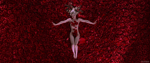Bed of roses dream GIF