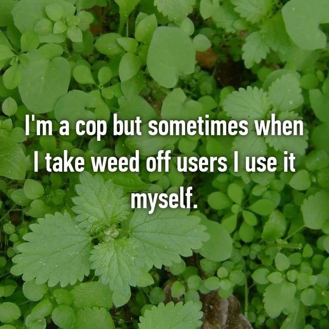 leaf - I'm a cop but sometimes when I take weed off users I use it myself.