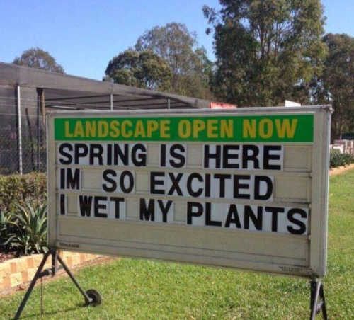 spring is here i m so excited i wet my plants - Landscape Open Now Spring Is Here Im So Excited Lwet My Plants