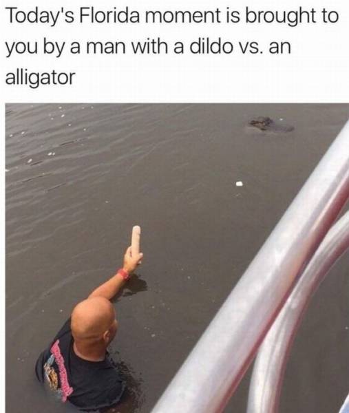 florida meme - Today's Florida moment is brought to you by a man with a dildo vs. an alligator