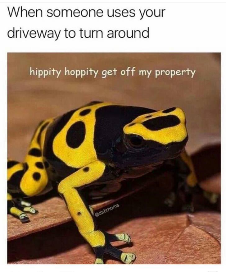 funny memes pic of someone uses your driveway to turn around - When someone uses your driveway to turn around hippity hoppity get off my property