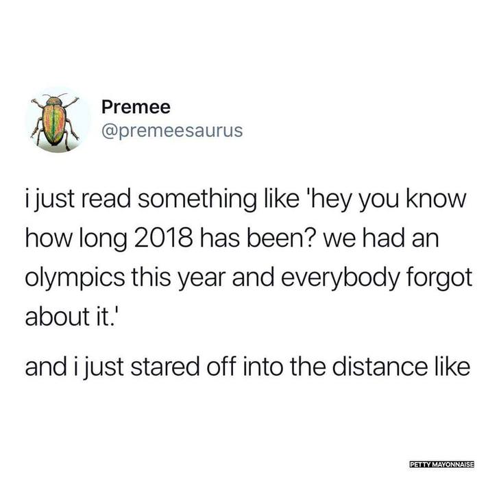 funny memes pic of animal - Premee i just read something 'hey you know how long 2018 has been? we had an olympics this year and everybody forgot about it. and i just stared off into the distance Petty Mayonnaise