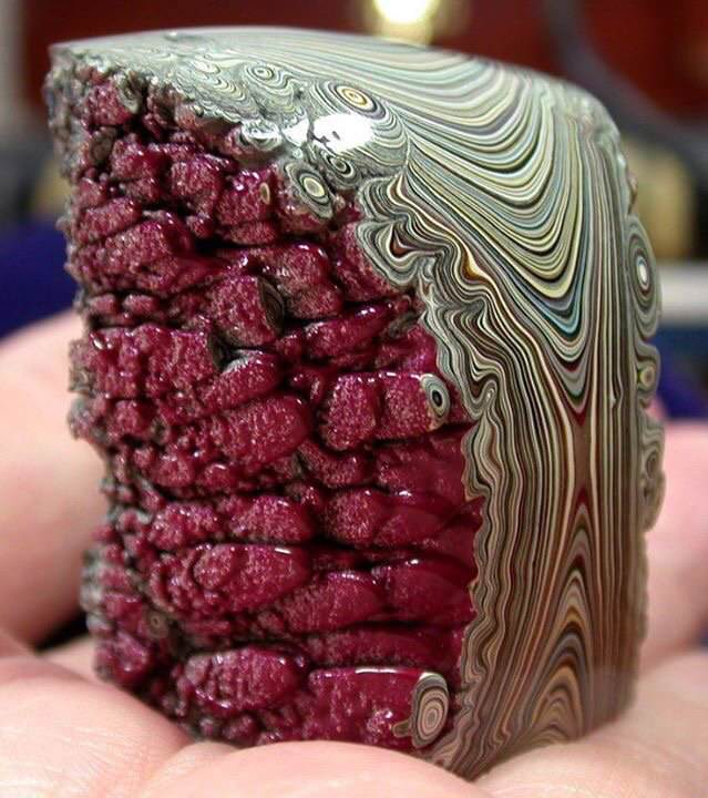 funny memes pic of detroit agate