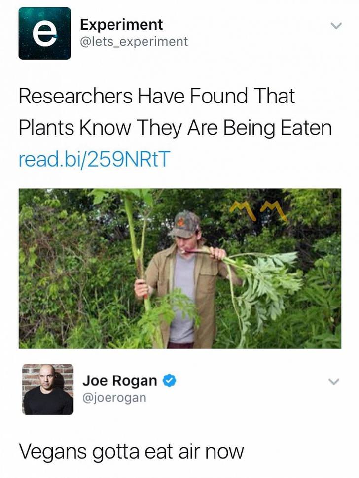 funny memes pic of vegans gotta eat air now - Experiment Researchers Have Found That Plants Know They Are Being Eaten read.bi259NRET Joe Rogan Vegans gotta eat air now