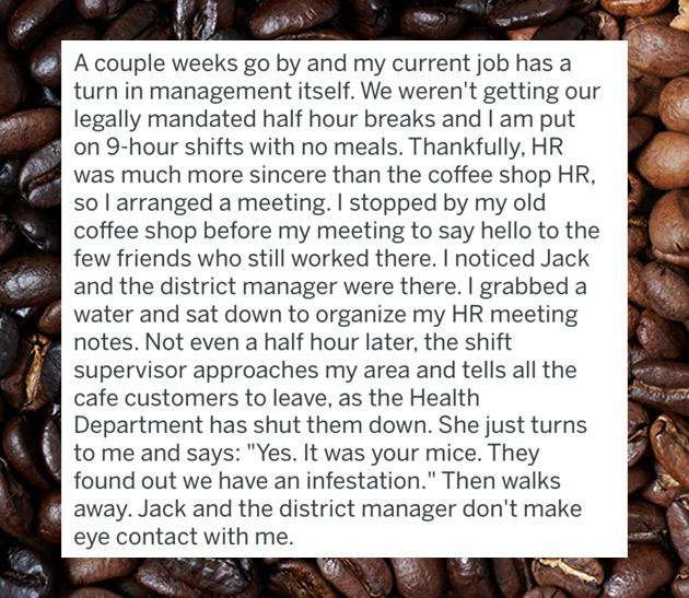 cocoa bean - A couple weeks go by and my current job has a turn in management itself. We weren't getting our legally mandated half hour breaks and I am put on 9hour shifts with no meals. Thankfully, Hr was much more sincere than the coffee shop Hr, so I a