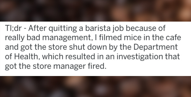 dyslexia - Tl;dr After quitting a barista job because of really bad management, I filmed mice in the cafe and got the store shut down by the Department of Health, which resulted in an investigation that got the store manager fired.