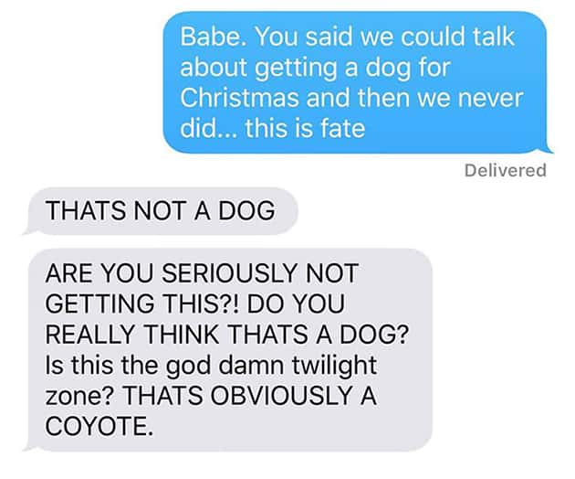 organization - Babe. You said we could talk about getting a dog for Christmas and then we never did... this is fate Delivered Thats Not A Dog Are You Seriously Not Getting This?! Do You Really Think Thats A Dog? Is this the god damn twilight zone? Thats O