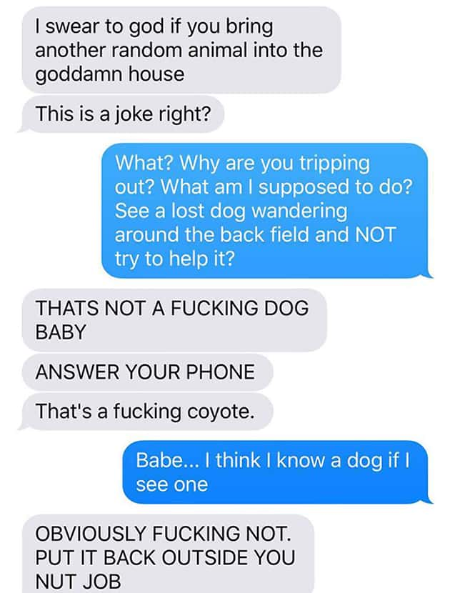 funny husband wife texts - I swear to god if you bring another random animal into the goddamn house This is a joke right? What? Why are you tripping out? What am I supposed to do? See a lost dog wandering around the back field and Not try to help it? That