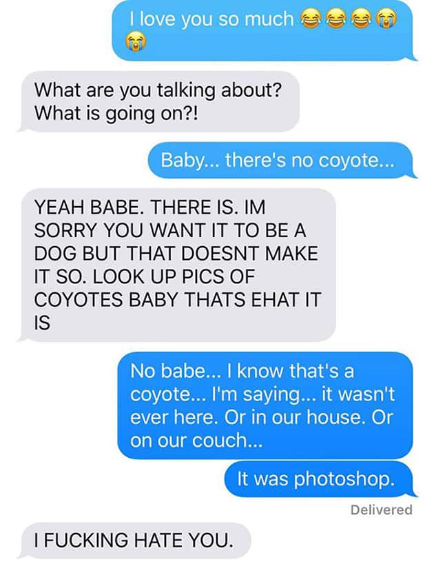 wife texts husband - I love you so much ease What are you talking about? What is going on?! Baby... there's no coyote... Yeah Babe. There Is. Im Sorry You Want It To Be A Dog But That Doesnt Make It So. Look Up Pics Of Coyotes Baby Thats Ehat It Is No bab