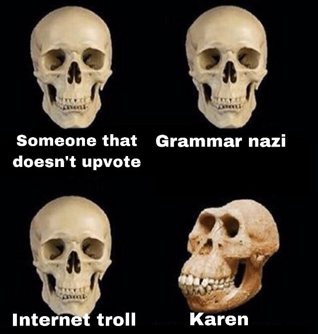 clash of clans asian meme - Someone that Grammar nazi doesn't upvote Internet troll Karen