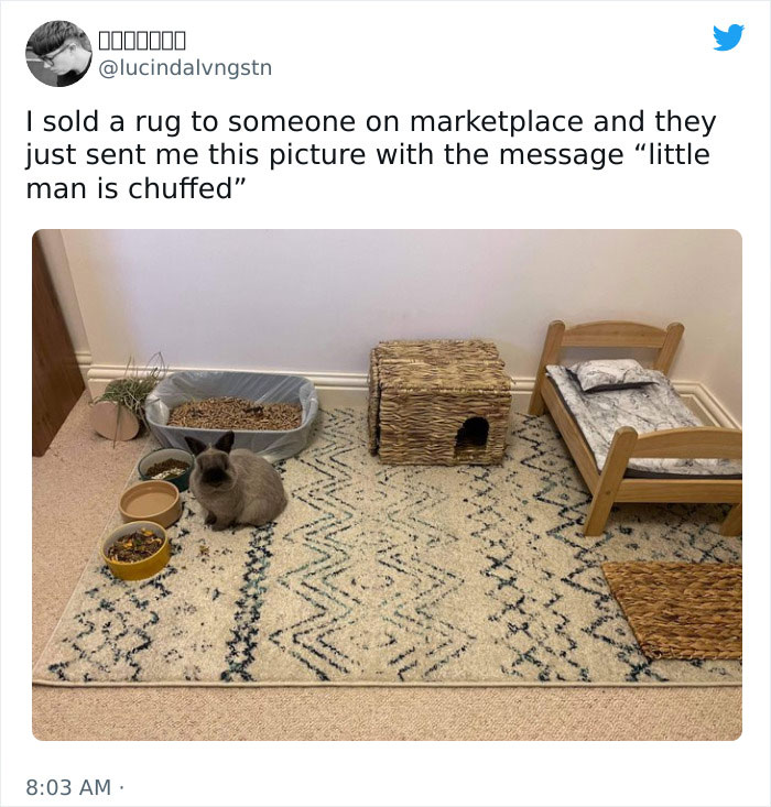 wholesome memes and pics - floor - 1000000 I sold a rug to someone on marketplace and they just sent me this picture with the message "little man is chuffed"