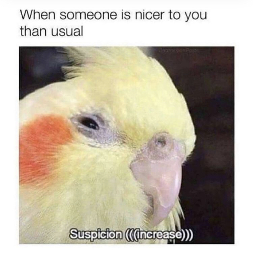 funny memes - suspicious meme - When someone is nicer to you than usual Suspicion Cincrease