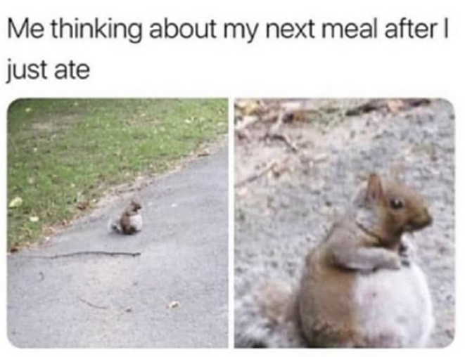funny memes - me thinking about my next meal meme - Me thinking about my next meal after just ate