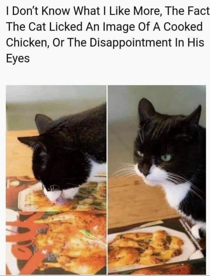funny memes - cat licks picture of chicken - I Don't Know What I More, The Fact The Cat Licked An Image Of A Cooked Chicken, Or The Disappointment In His Eyes