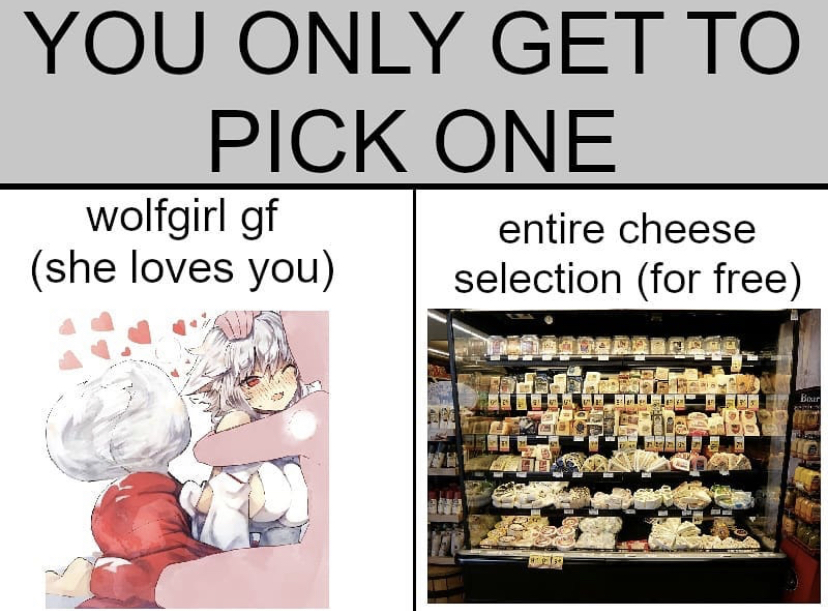 funny memes - you only get to pick one wolfgirl gf - You Only Get To Pick One wolfgirl gf entire cheese she loves you selection for free Boordre Bour