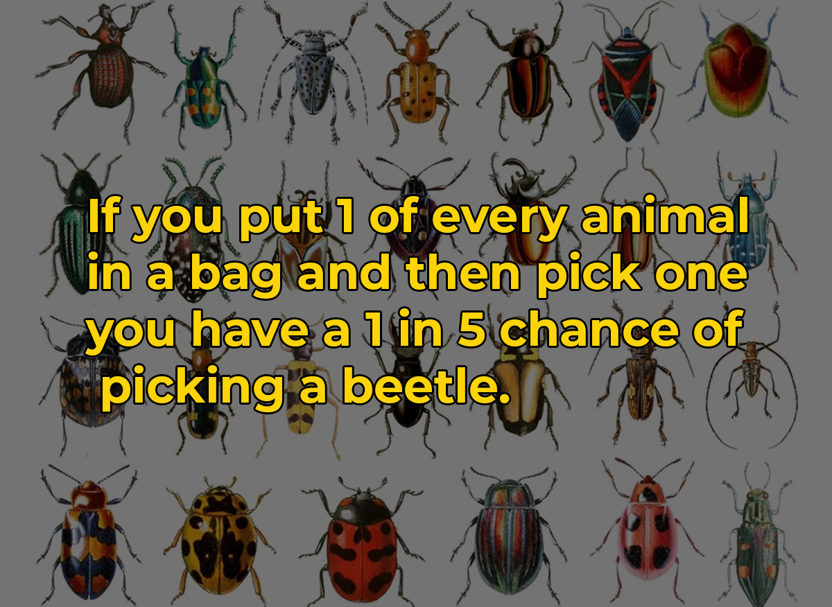 mind blowing ffacts - membrane winged insect - If you put i of every animal in a bag and then pick one you have a l in 5 chance of picking a beetle.