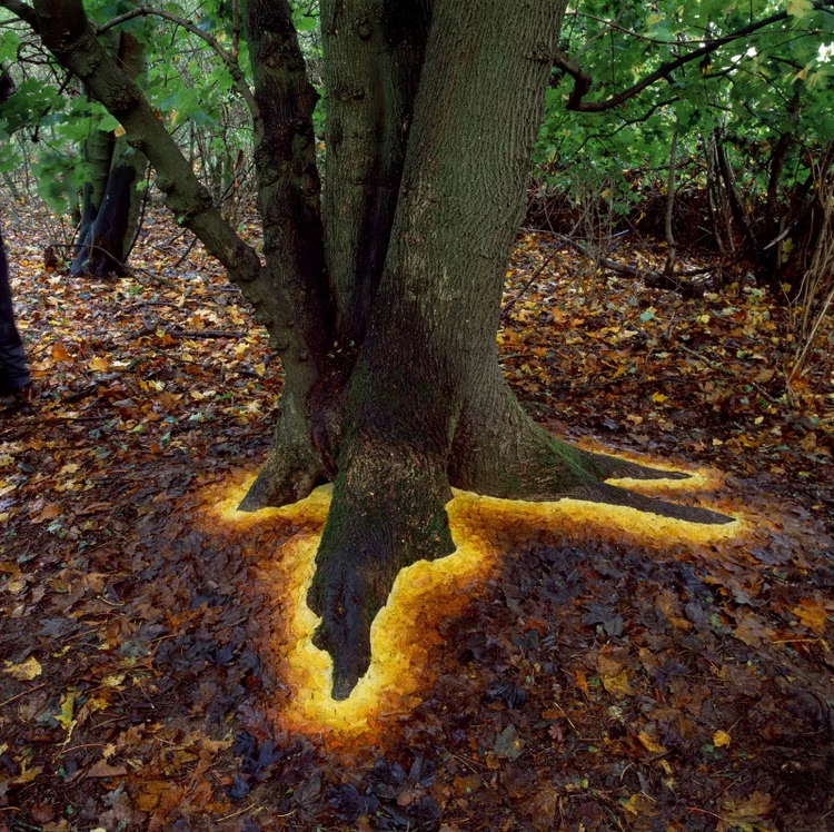 Leaves of varying shades are meticulously arranged at the base of the tree to give the illusion of glowing roots.