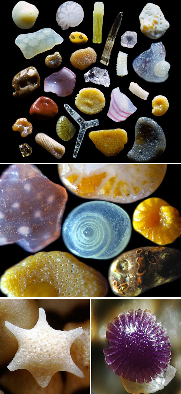 Various grains of sand under 300x magnification.