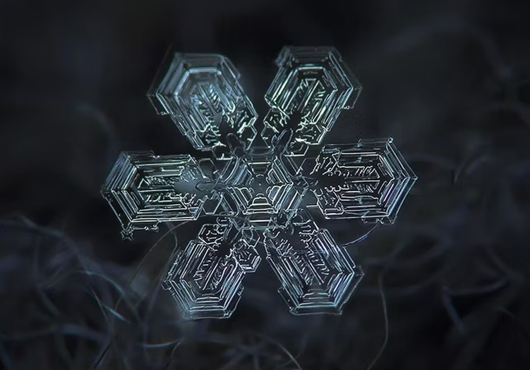 Macro lens photograph of the perfect snowflake by Russian photographer Alexey Kljatov.