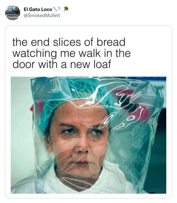 funny and wtf tweets - head - El Gato Loco the end slices of bread watching me walk in the door with a new loaf Wh