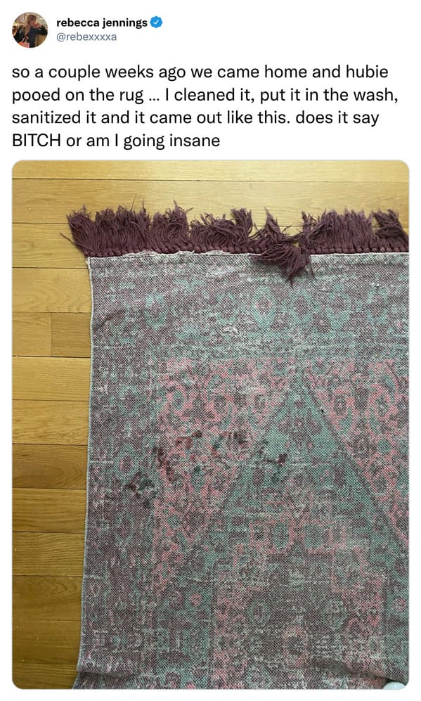 funny and wtf tweets - pattern - rebecca jennings so a couple weeks ago we came home and hubie pooed on the rug... I cleaned it, put it in the wash, sanitized it and it came out this. does it say Bitch or am I going insane