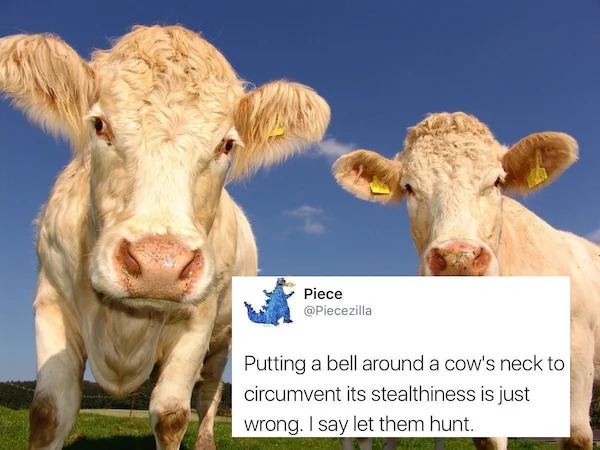 funny and wtf tweets - beef cow - Piece Putting a bell around a cow's neck to circumvent its stealthiness is just wrong. I say let them hunt.