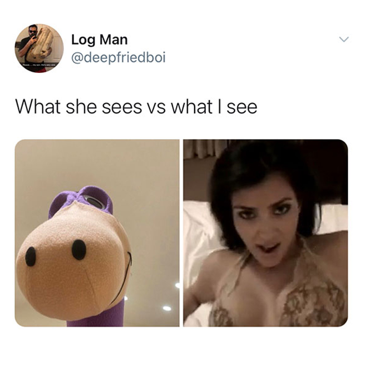 funny and wtf tweets - stuffed toy - Log Man What she sees vs what I see