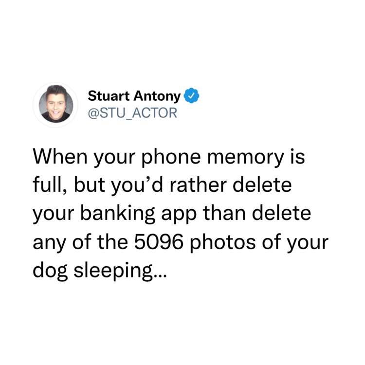 funny and wtf tweets - angle - Stuart Antony When your phone memory is full, but you'd rather delete your banking app than delete any of the 5096 photos of your dog sleeping...