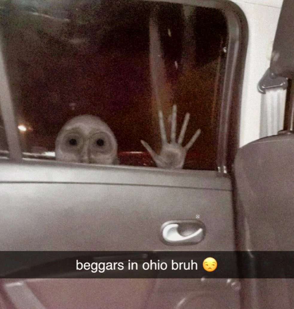 dank memes and pics -  another day in ohio - beggars in ohio bruh