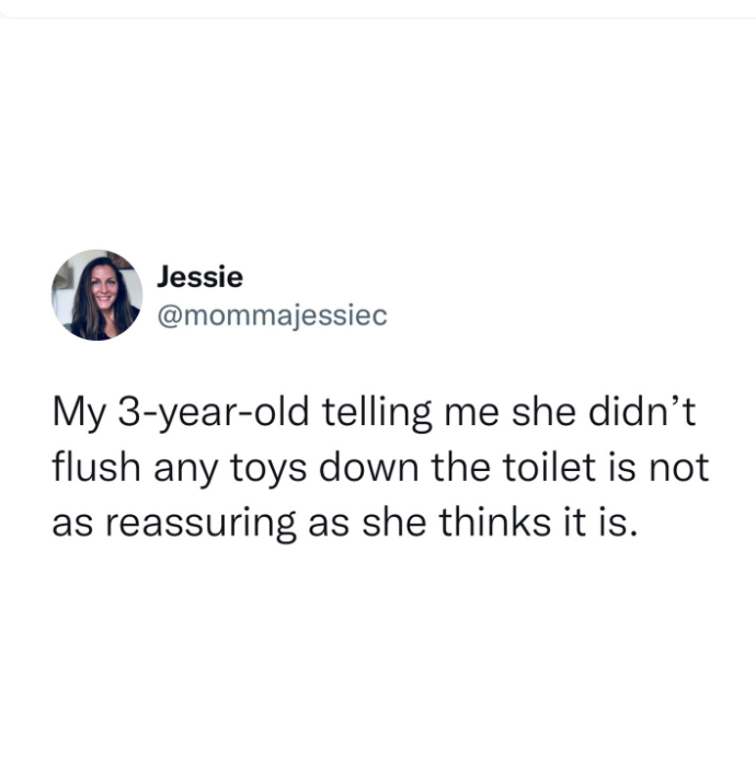 dank memes and pics -  Jessie My 3yearold telling me she didn't. flush any toys down the toilet is not as reassuring as she thinks it is.