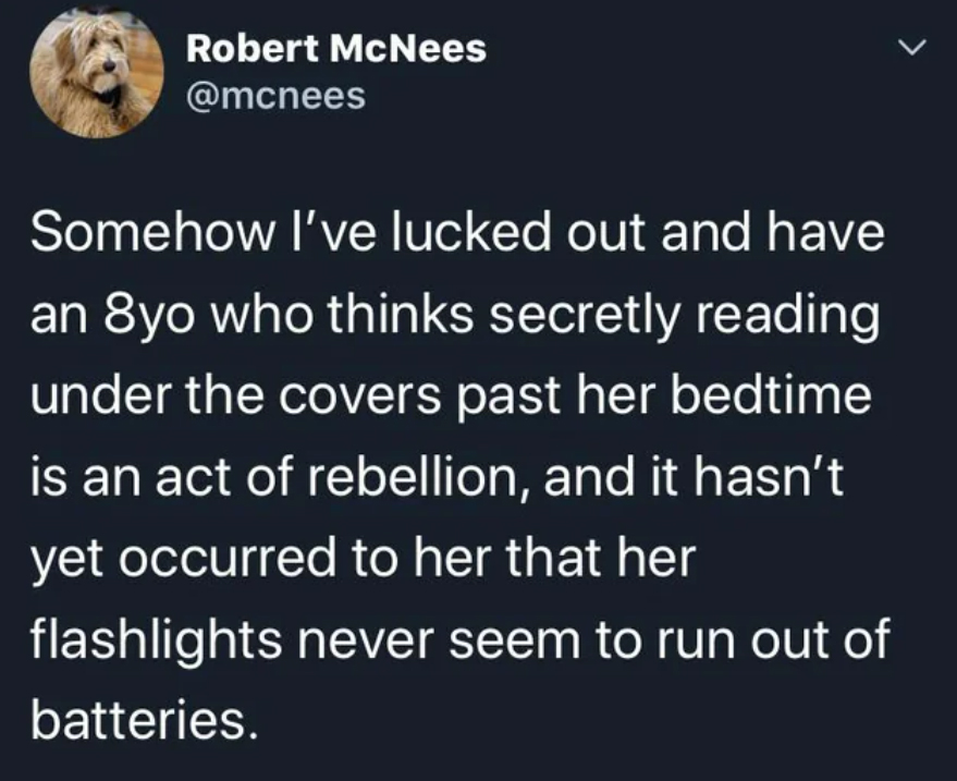 wholesome pics and memes -  texas district attorney catch a predator - Robert McNees L Somehow I've lucked out and have an 8yo who thinks secretly reading under the covers past her bedtime is an act of rebellion, and it hasn't yet occurred to her that her