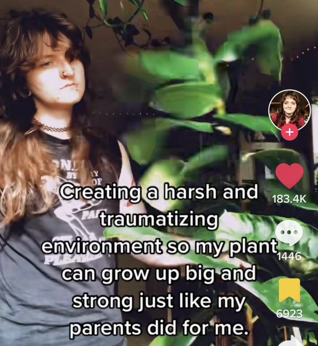 wtf tiktok screenshots - photo caption - Nd By Iy Of Creating a harsh and traumatizing environment so my plant can grow up big and strong just my parents did for me. 1446 6923