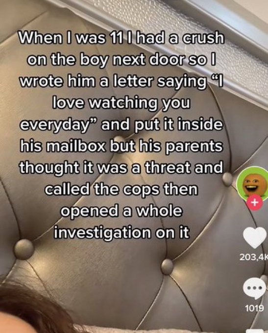 wtf tiktok screenshots - photo caption - When I was 11 I had a crush on the boy next door so I wrote him a letter saying "I love watching you everyday" and put it inside his mailbox but his parents thought it was a threat and called the cops then opened a
