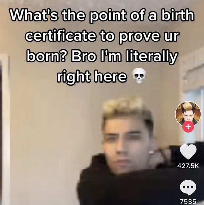 wtf tiktok screenshots - photo caption - What's the point of a birth certificate to prove ur born? Bro I'm literally right here 30 7535