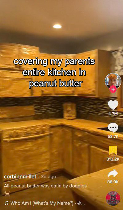 wtf tiktok screenshots - table - covering my parents entire kitchen in peanut butter corbinnmillet 3d ago All peanut butter was eatin by doggies Who Am I What's My Name? @... 4.7M Bathro