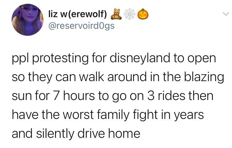 funny tweets of the week - funny twitter tweets - liz werewolf ppl protesting for disneyland to open so they can walk around in the blazing sun for 7 hours to go on 3 rides then have the worst family fight in years and silently drive home