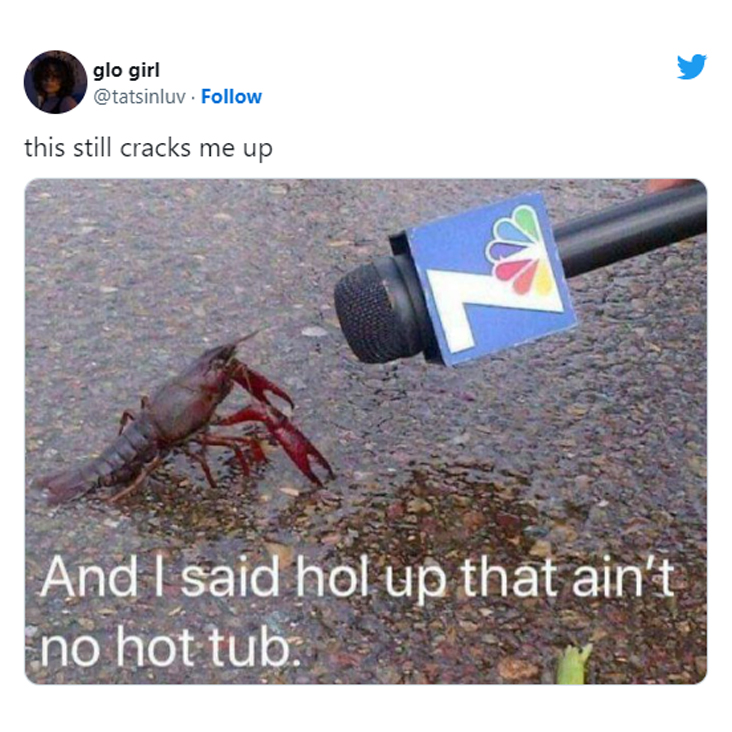 funny tweets of the week - decapoda - glo girl this still cracks me up And I said hol up that ain't no hot tub