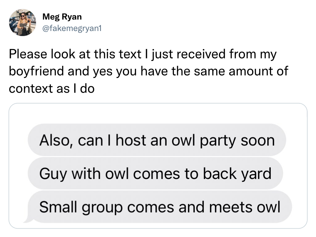 funny tweets - angle - Meg Ryan Please look at this text I just received from my boyfriend and yes you have the same amount of context as I do Also, can I host an owl party soon Guy with owl comes to back yard Small group comes and meets owl