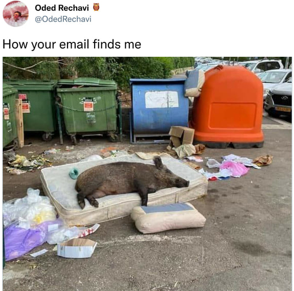 funny tweets - pet - Oded Rechavi How your email finds me