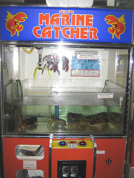Strange lobster game