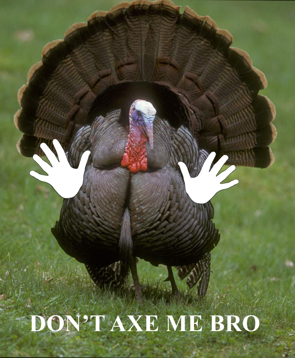 eastern wild turkey - Dont Axe Me Bro