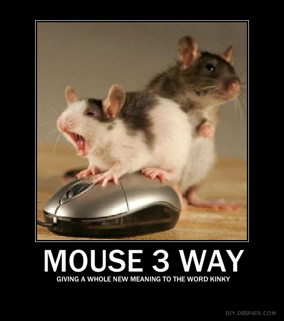 Mouse 3 Way