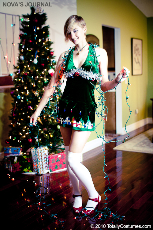 Celebrate the Holidays with Christmas Costumes